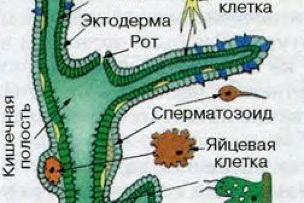 Кракен зеркало на тор